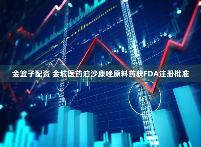 金籃子配資 金城醫(yī)藥泊沙康唑原料藥獲FDA注冊(cè)批準(zhǔn)