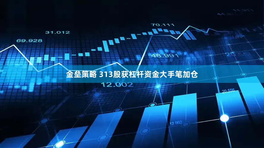 金壘策略 313股獲杠桿資金大手筆加倉