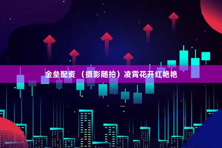 金壘配資 （攝影隨拍）凌霄花開紅艷艷